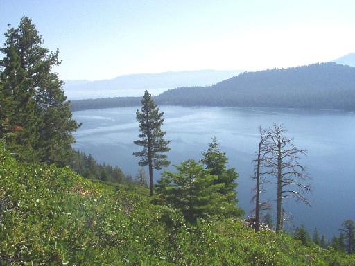 0980- 004-TallacHike-NorthEndFallenLeafLake.jpg 34.1K